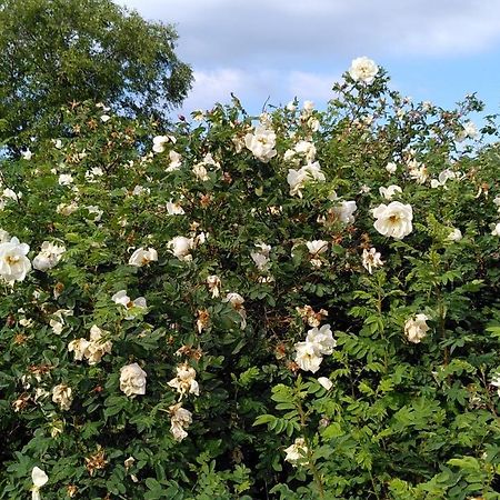 Lilla Mysstuga I Havsnaera Varberg Exteriér fotografie